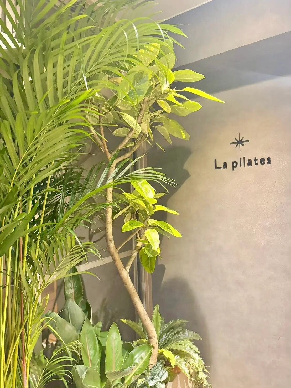 La pilates 四ツ橋店の写真 4