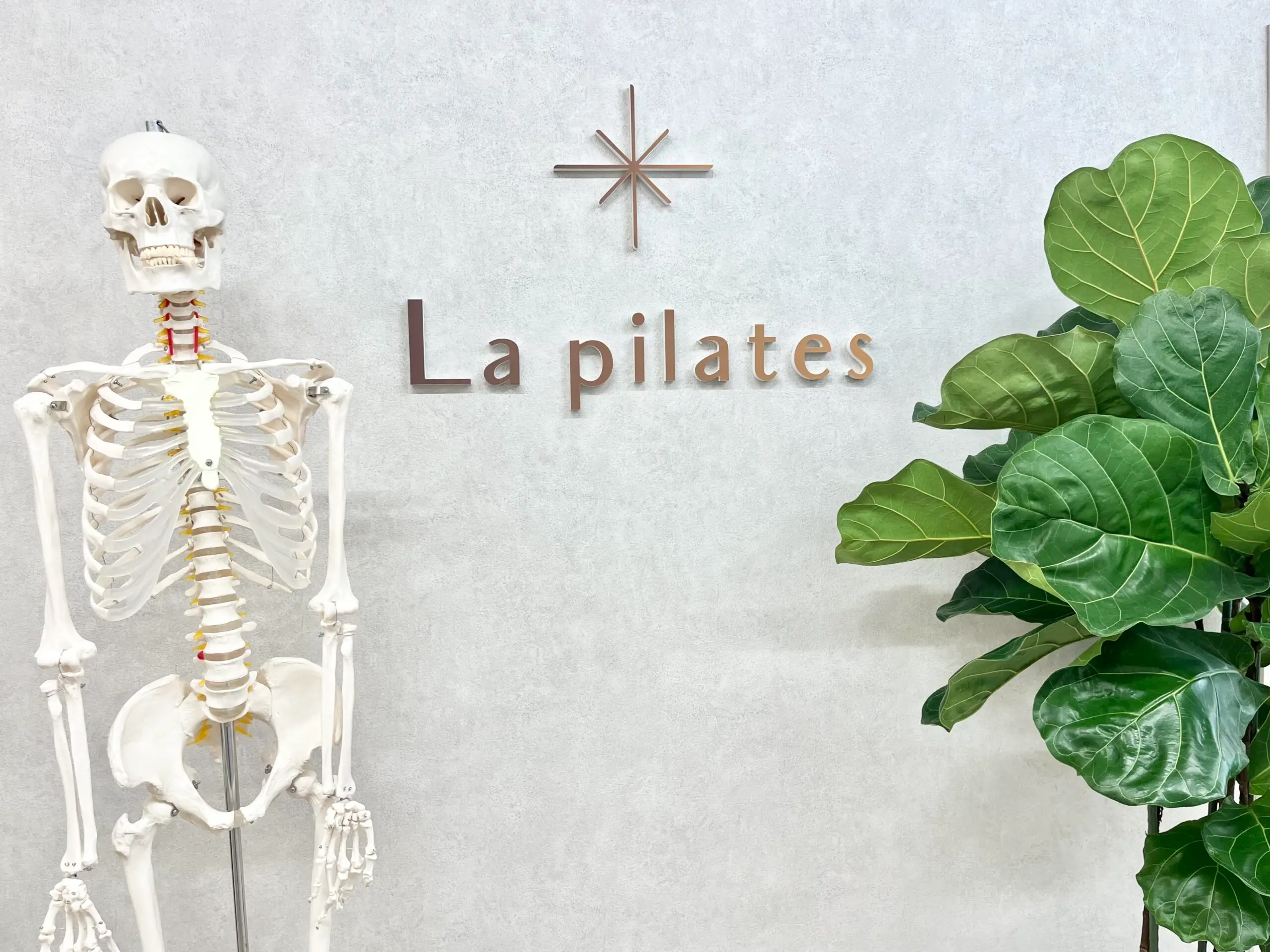 La pilates 銀座店の写真 3
