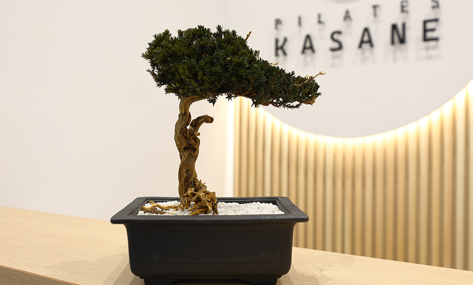 Pilates KASANE 浜松プラザフレスポ店の写真 4